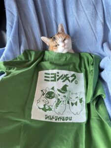 三毛猫末石窯