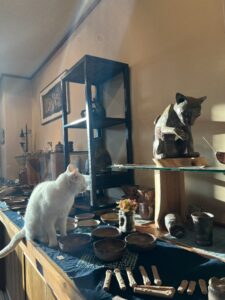 白猫と化け猫