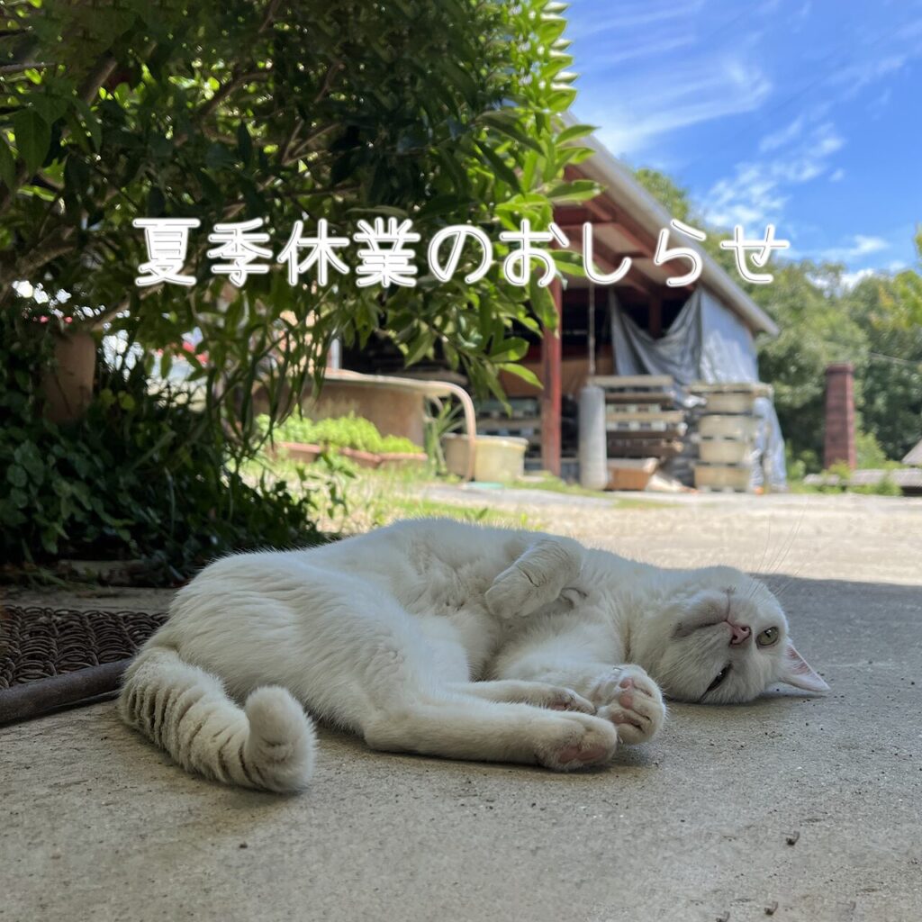 末石窯夏季休業2025年夏